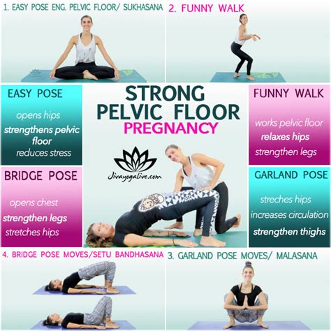 Four Must Do Pelvic Floor Exercises During Pregnancy Jivayogalive