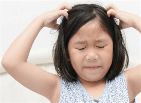A Guide To Head Lice Treatment