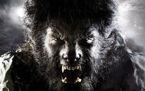 alizul top 10 alleged real life werewolves and wolf men