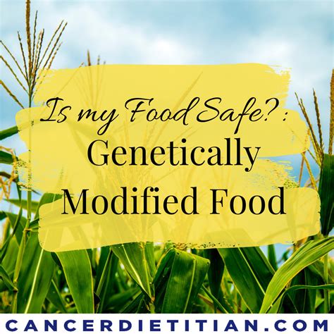 Is My Food Safe Genetically Modified Food Cancer Dietitian
