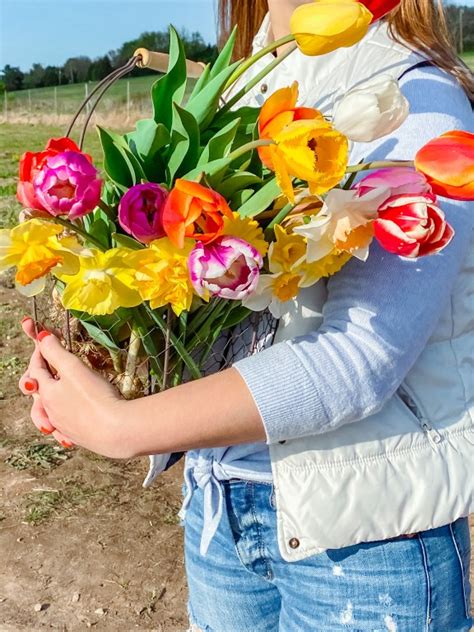 pick your own flowers in maryland dc and virginia summer 2023