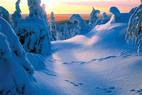 Finland på ditt språksvenska english finland oo ku qoran luqadaadasoomaali Wintersport Finland - unieke wintersportbestemming | TUI
