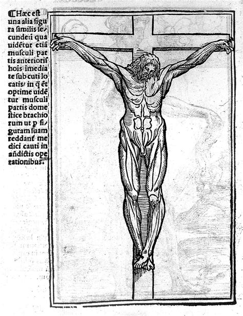 Crucified Male With Musculature Delineated Berengarius