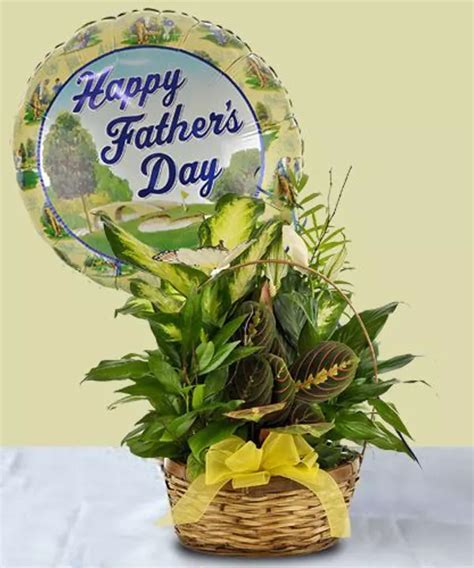 Dishgarden For Dad Fathers Day Flowers Fathers Day Fathers Day Ts