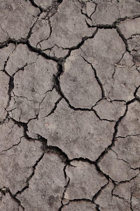 Dry Ground Cracked Arid Free Photo On Pixabay Pixabay