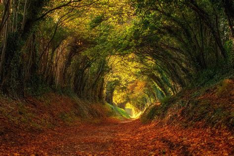 Halnaker In West Sussex This Is An Image From Back In Autumn When The