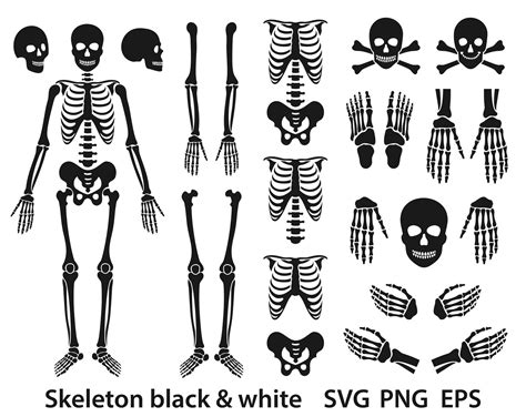 Black Skeleton Svg Happy Halloween Skeleton Svg Skull Svg Etsy