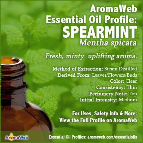 Spearmint oil is both cleansing as well as uplifting. Spearmint Essential Oil Uses and Benefits | AromaWeb