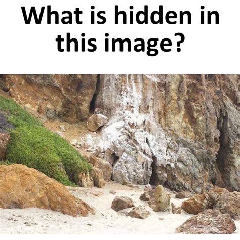 What Is Hidden In This Image Enviatame