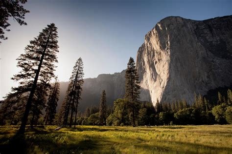 Mountains Landscape Forest Nature Trees Grass Clear Sky Yosemite