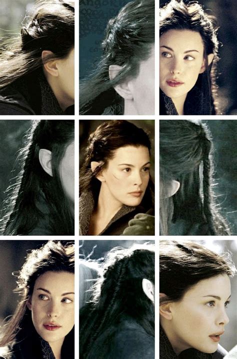 arwen s chase braid hair the lord of the rings the fellowship of the ring collage details