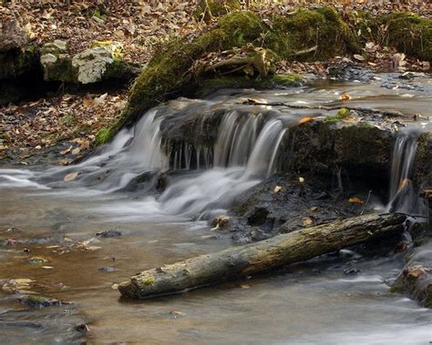 Located in florence, alabama since 1973, shoals mpe is the area's most trusted source for all your hvac, plumbing, and electrical contracting needs. Shoals Creek Preserve | Florence alabama, Lauderdale ...