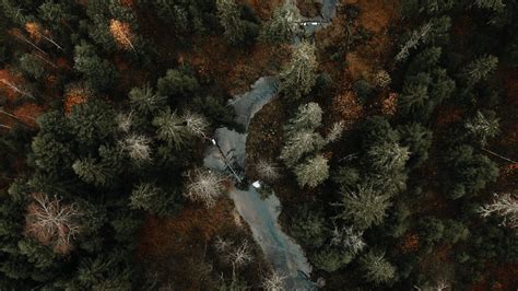 Download Wallpaper 1920x1080 River Forest Aerial View Trees Autumn