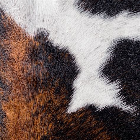 Cowhide Leather Area Rug · Black And White By Capra Leather