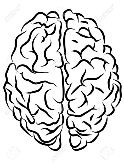 Brain Black And White Clipart 20 Free Cliparts Download Images On