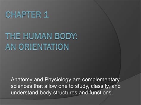 Chapter 1 The Human Body An Orientation