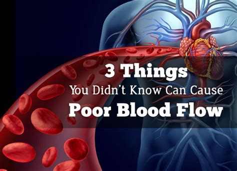 3 Things You Didnt Know Can Cause Poor Blood Flow And Circulation 2023