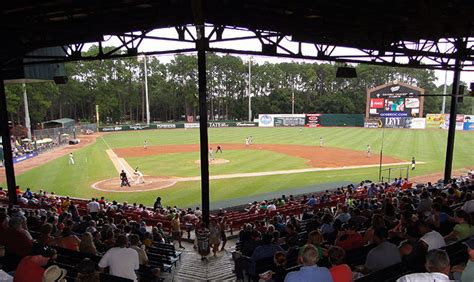 Sand Gnats Moving To Columbia For Sportslogos Net News