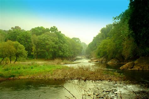 Hidden Paradise In Kerala For Nature Lovers An Ace Guide