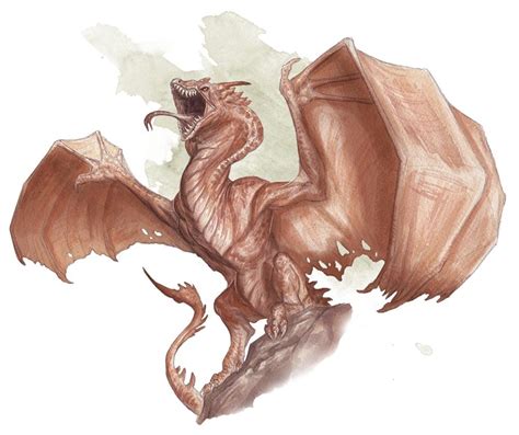 Wyvern Wyvern Dungeons And Dragons Homebrew Cartoon Dragon