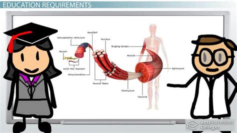 How To Become A Surgeon Education And Requirements