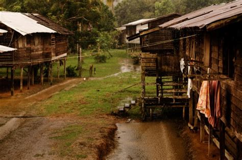 Malaysia rural tourism is composed of a large number of rural communities, each with distinct and varied assets. Years Of Empty Promises And Underdevelopment Turn Sarawak ...