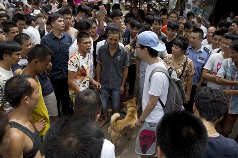Chinese City Goes Ahead With Annual Dog Meat Eating Festival Despite