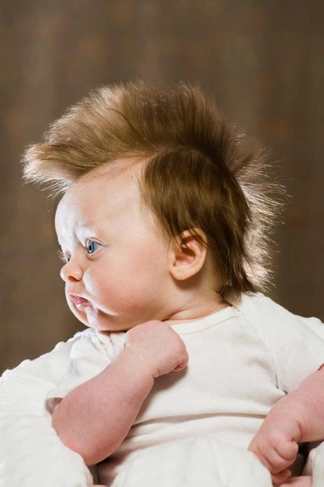 Imágenes Divertidas De Bebes Con Peinados Graciosos
