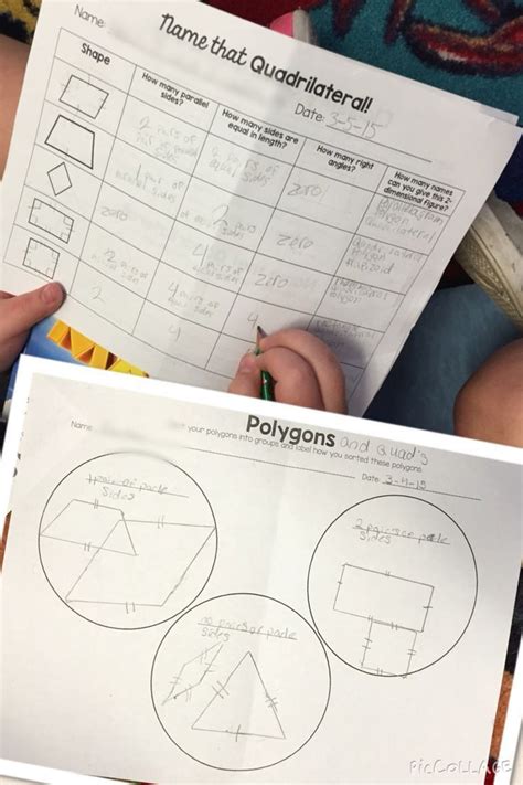 Classifying 2D Shapes-Polygons,Triangles, & Quadrilaterals, Oh My! | Math geometric shapes ...