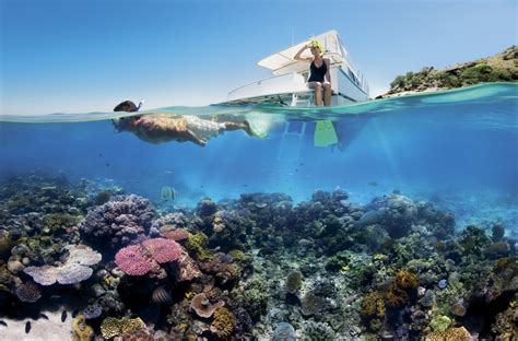 Reef Snorkelling On The Great Barrier Reef Travel Oz