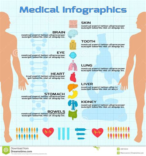 Medical Infographic Flat Stock Vector Image 40874544