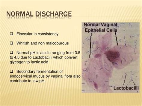 Abnormal Vaginal Discharge Etiopathogenesis Physiological