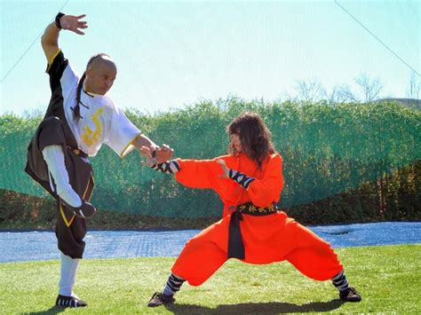 Los Fundamentos Del Kung Fu T Cnicas Y Filosof A Sport Muscle