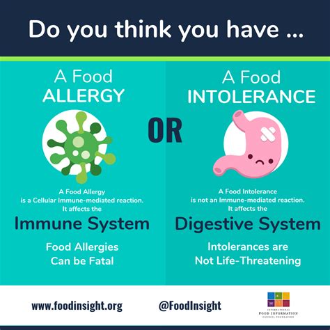Food Allergy Or Intolerance Whats The Difference Food Insight