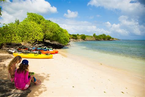 Conservation Kayak Grenada West Indies Grenada West Indies