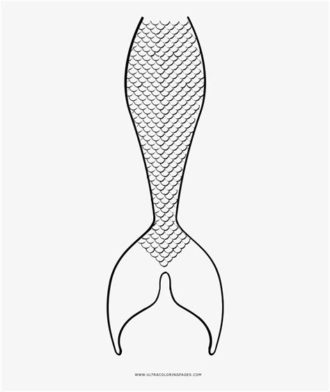 Mermaid Tail Coloring Page Line Art 1000x1000 Png