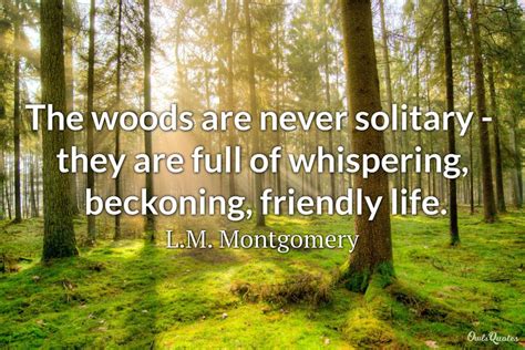 25 Best Wood Quotes