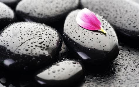Search free zen stones wallpapers on zedge and personalize your phone to suit you. Zen HD Wallpaper | Background Image | 2560x1600 | ID ...