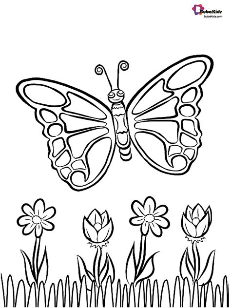 Coloring pages of flowers and butterflies coloring pages wers. Beautiful butterfly and flowers coloring page Collection ...