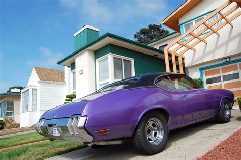 Purple Muscle Westlake District Daly City California Todd Lappin