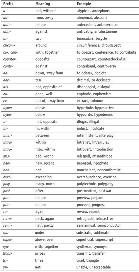 18 5th Grade Prefix And Suffix Worksheets | Latin root words, Root