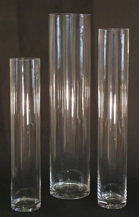 15 Elegant Tall Plastic Cylinder Vases For Cheap 2024