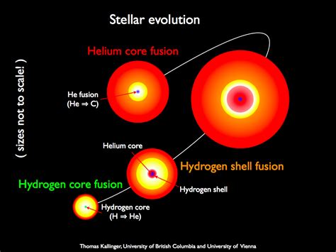 Starquakes Reveal Pulse Of Giant Stars Space