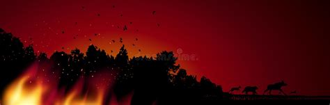 Burning Forest Trees In Fire Flames Concept Vector Illustration Stock
