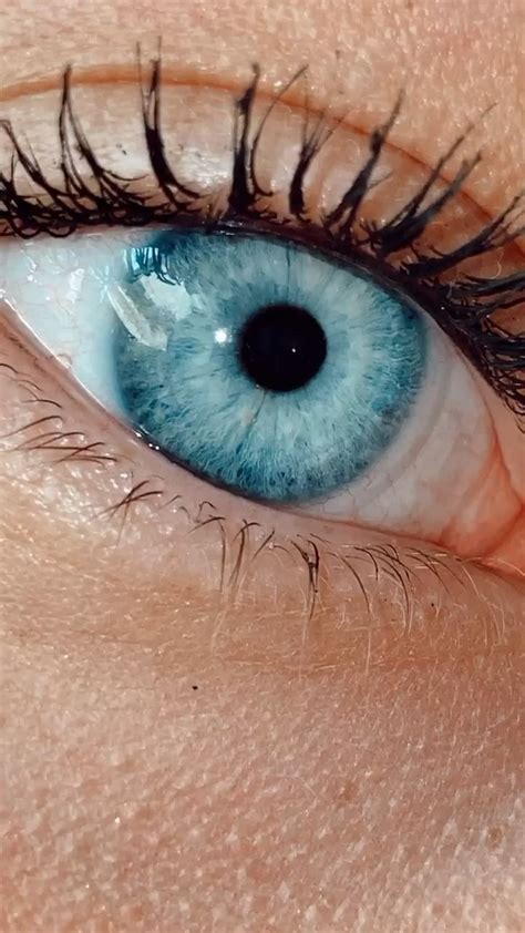 Blue💙🦋 Video Blue Eye Color Blue Eyes Aesthetic Beautiful Eyes Color
