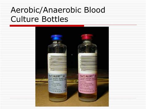 Ppt Blood Culture Powerpoint Presentation Free Download Id2763893