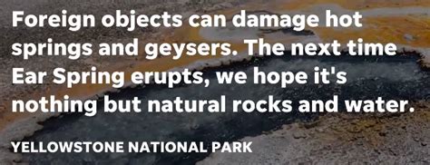 Yellowstone Geyser Spews Old Trash After Decades Of Dormancy