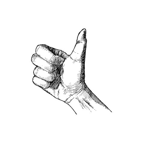 Premium Vector Thumbs Up Hand Illustration