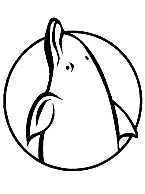 dolphin coloring pages  coloring pages