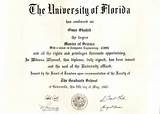 University Degree Vs College Diploma